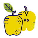 fruta icon