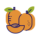 fruta icon