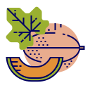 fruta icon