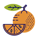 fruta icon