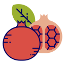 fruta icon