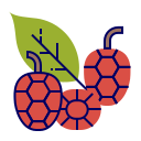 fruta icon