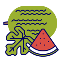 fruta icon