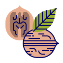 fruta icon