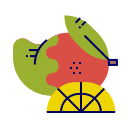 fruta icon