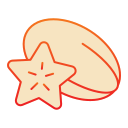 carambola icon