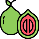 fruta icon