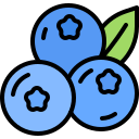 fruta icon