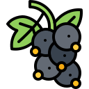 fruta icon