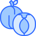 fruta icon