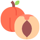 fruta icon