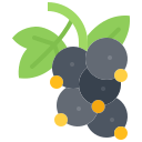 fruta icon