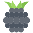 fruta icon