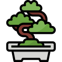 Bonsai icon