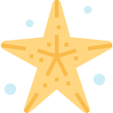 Estrella de mar 