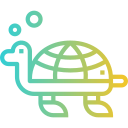 Tortuga icon