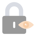 monitoreo de seguridad icon