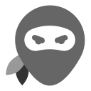 pirata informático icon