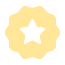 insignia de estrella 