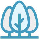 naturaleza icon