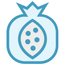 fruta icon