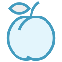 fruta icon