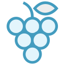 fruta icon