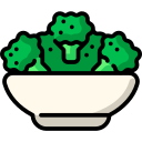 Ensalada icon