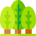 árbol icon