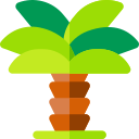 Palmera icon