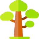 árbol icon