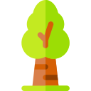 árbol icon