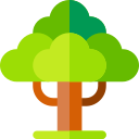 árbol icon