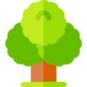 árbol icon