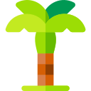 Palmera icon