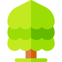 árbol icon