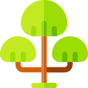 árbol icon