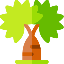 Palmera icon