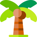 Palmera icon