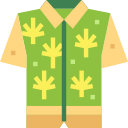 Hawaiano icon