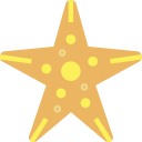 Estrella de mar