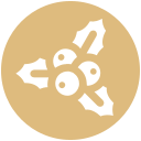 Рождество icon