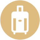 bolsa icon