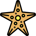 Estrella de mar