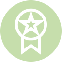 estrella icon