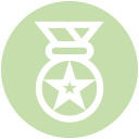 estrella icon