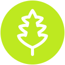 naturaleza icon