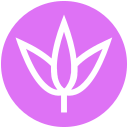 naturaleza icon