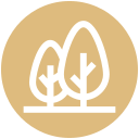 naturaleza icon