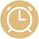 reloj icon